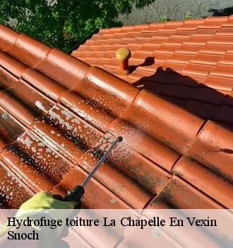 Hydrofuge toiture la-chapelle-en-vexin-95420 Snoch