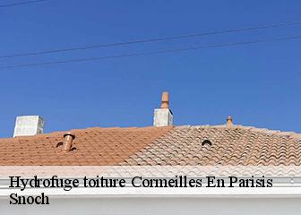 Hydrofuge toiture 95240