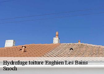 Hydrofuge toiture 95880