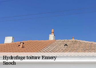 Hydrofuge toiture 95300