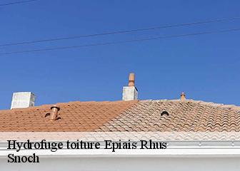 Hydrofuge toiture 95810