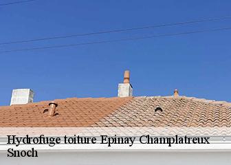Hydrofuge toiture 95270