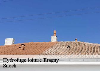 Hydrofuge toiture  95610
