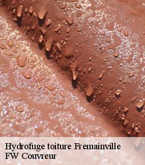 Hydrofuge toiture  fremainville-95450 FW Couvreur