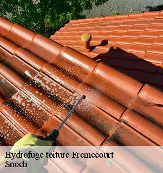 Hydrofuge toiture fremecourt-95830 Snoch