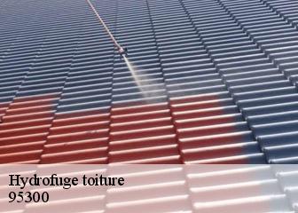 Hydrofuge toiture  95300
