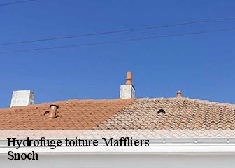 Hydrofuge toiture 95560
