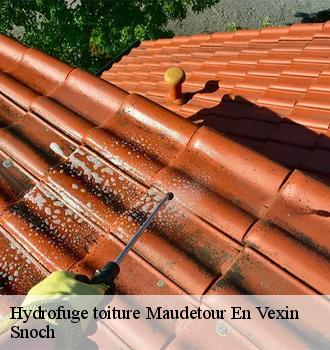 Hydrofuge toiture maudetour-en-vexin-95420 Snoch