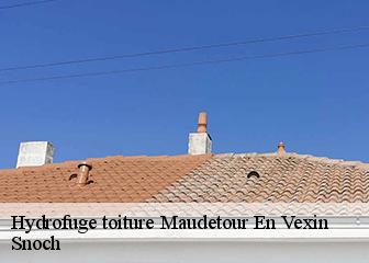 Hydrofuge toiture 95420