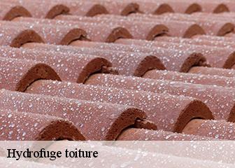 Hydrofuge toiture 95420
