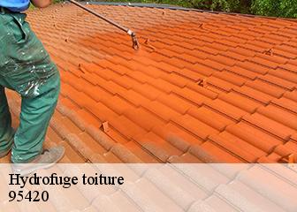 Hydrofuge toiture 95420