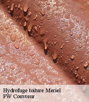 Hydrofuge toiture  meriel-95630 FW Couvreur