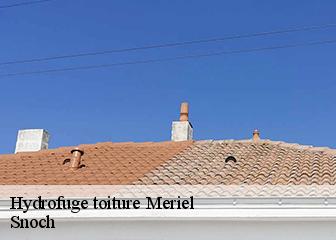 Hydrofuge toiture 95630