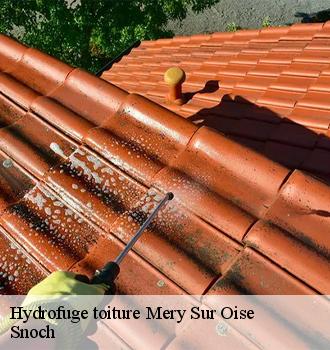 Hydrofuge toiture mery-sur-oise-95540 Snoch