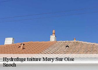 Hydrofuge toiture 95540