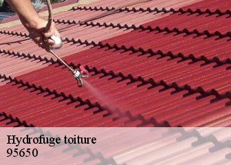 Hydrofuge toiture  95650