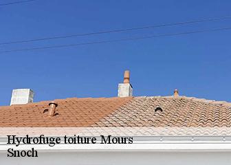 Hydrofuge toiture 95260