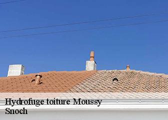 Hydrofuge toiture 95640
