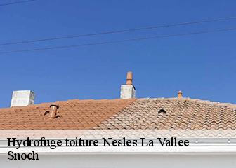 Hydrofuge toiture 95690