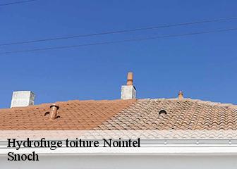 Hydrofuge toiture 95590