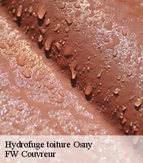Hydrofuge toiture  osny-95520 FW Couvreur