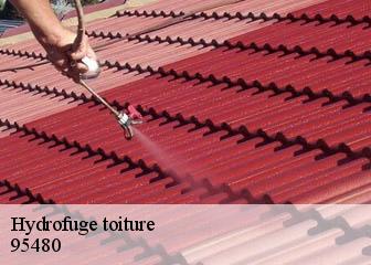 Hydrofuge toiture  95480