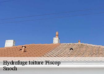 Hydrofuge toiture  95350