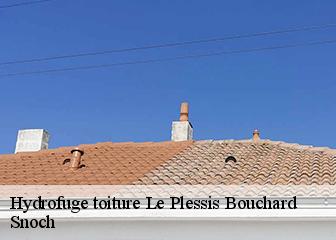 Hydrofuge toiture 95130