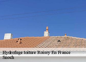 Hydrofuge toiture 95700