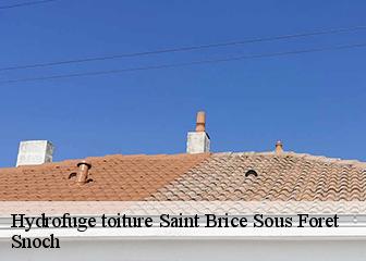 Hydrofuge toiture 95350