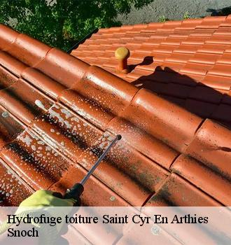 Hydrofuge toiture  saint-cyr-en-arthies-95510 FW Couvreur