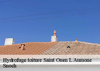 Hydrofuge toiture 95310