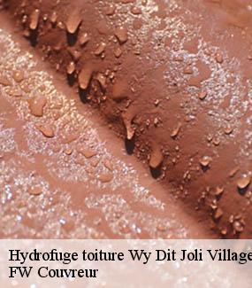 Hydrofuge toiture  wy-dit-joli-village-95420 FW Couvreur