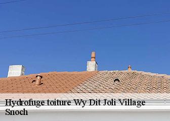Hydrofuge toiture 95420