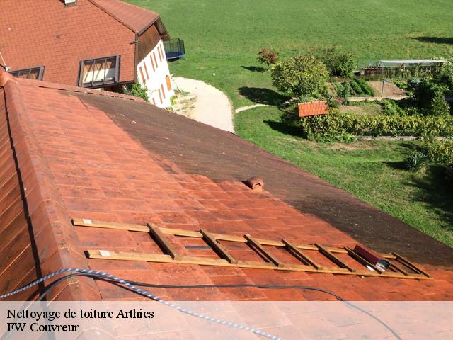 Nettoyage de toiture  arthies-95420 FW Couvreur