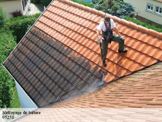 Nettoyage de toiture  95250