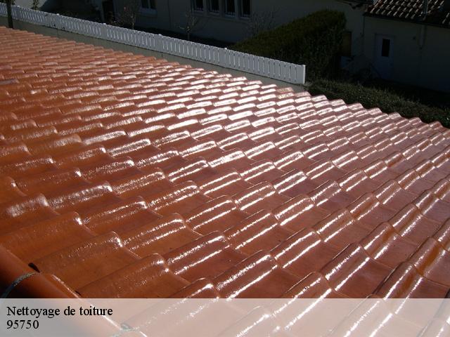 Nettoyage de toiture 95750