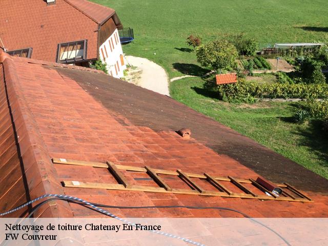 Nettoyage de toiture  chatenay-en-france-95190 SM Nettoyage