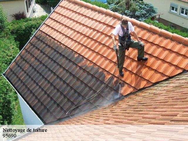 Nettoyage de toiture 95690