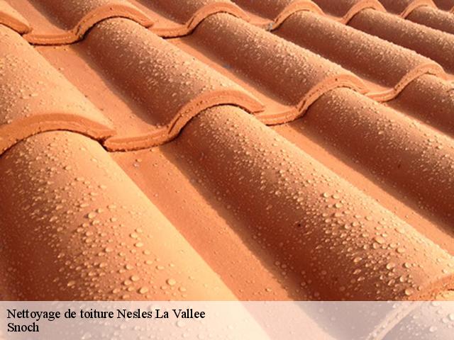 Nettoyage de toiture 95690