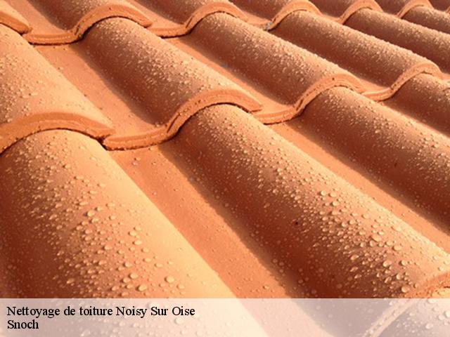 Nettoyage de toiture 95270