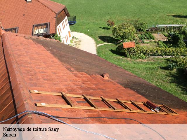 Nettoyage de toiture sagy-95450 Snoch