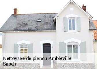 Nettoyage de pignon 95710