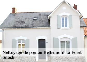 Nettoyage de pignon 95840