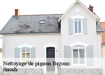 Nettoyage de pignon 95870
