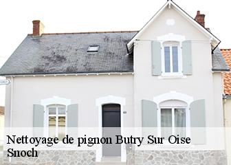 Nettoyage de pignon 95430