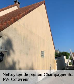 Nettoyage de pignon  champagne-sur-oise-95660 FW Couvreur