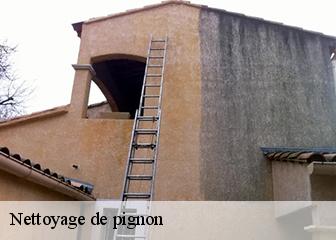 Nettoyage de pignon  95750