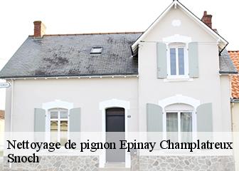 Nettoyage de pignon 95270
