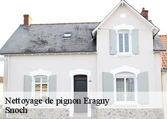 Nettoyage de pignon 95610